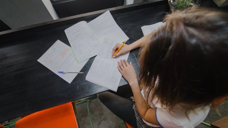 Estudo Por Questões