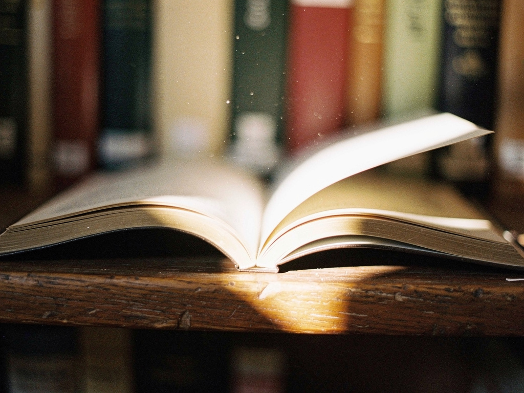 Seção sobre paráfrase enganosa e literalidade da lei, reforçando atenção aos detalhes questões comentadas